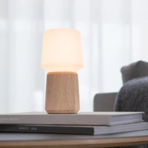 SACKit Lamp Intelligent & Oslo Natural Oak 8