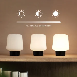 SACKit Lamp Intelligent & Oslo Natural Oak 8