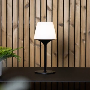 SACKit Lamp Intelligent & Aalborg