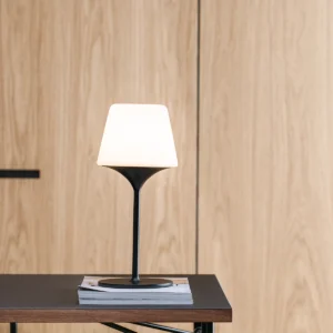 SACKit Lamp Intelligent & Aalborg