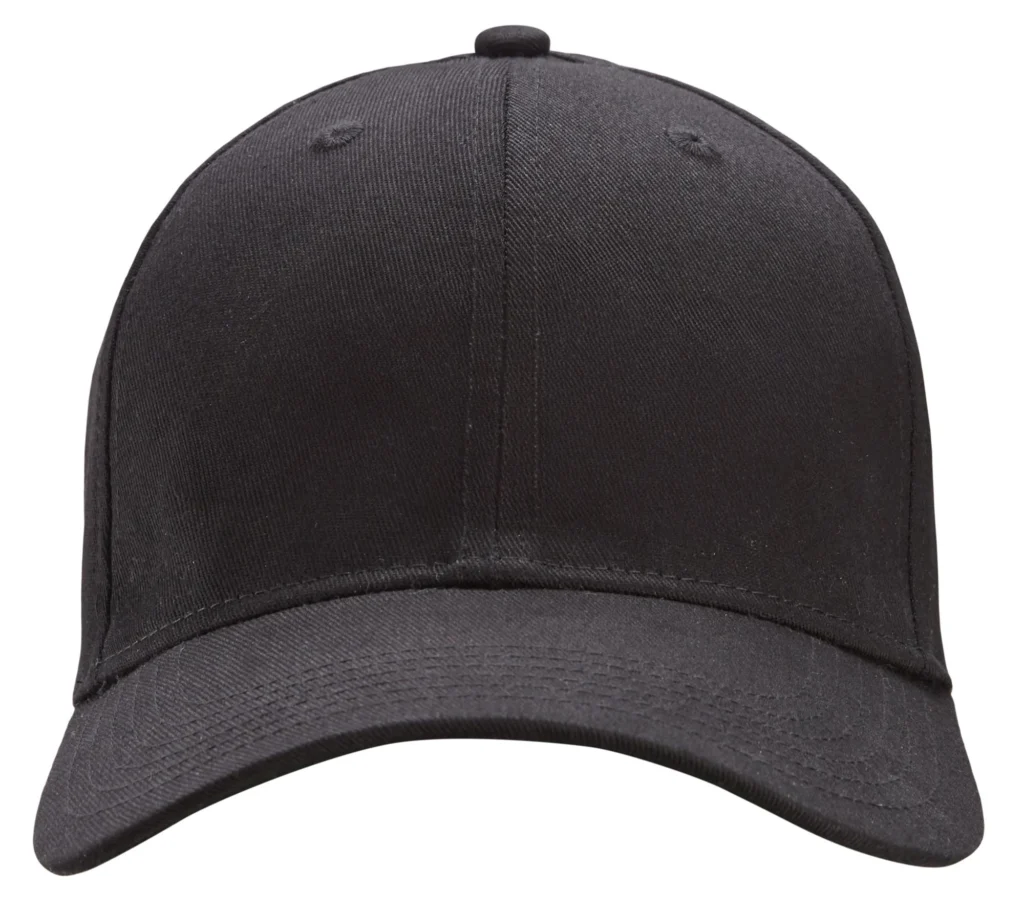 Flexfit logo cap