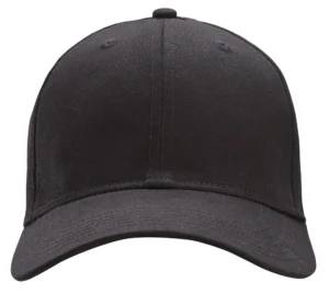 Flexfit logo cap