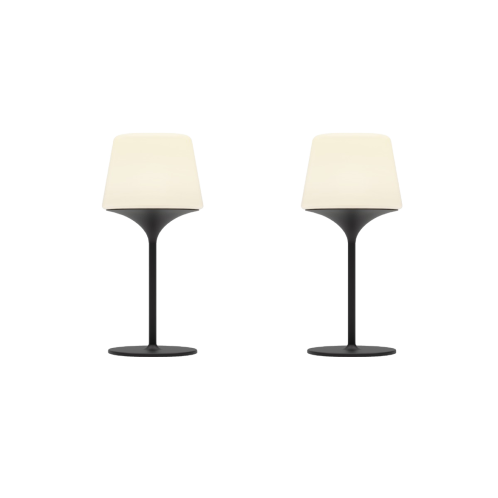 SACKit 2 x Lamp Intelligent Aalborg 35