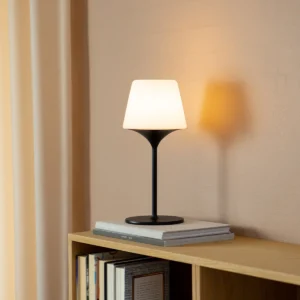 SACKit 2 x Lamp Intelligent Aalborg 35