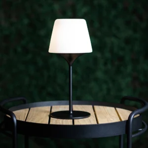 SACKit 2 x Lamp Intelligent Aalborg 35