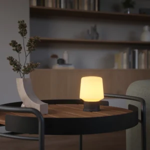 SACKit Lamp Intelligent+ & London 3 Antracit DUO