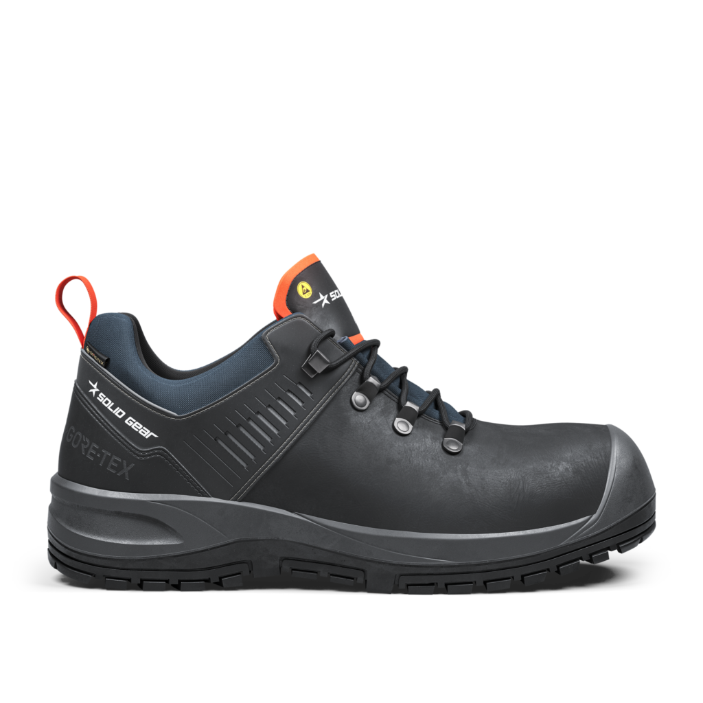 Ion GTX Low